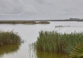 Un paraje del parque natural.