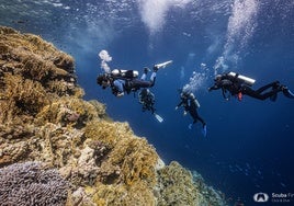 Un grupo, durante una inmersión.