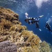 Scuba Finders, el 'Booking' del buceo con acento valenciano