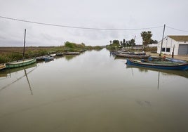 Un paraje de la Albufera.