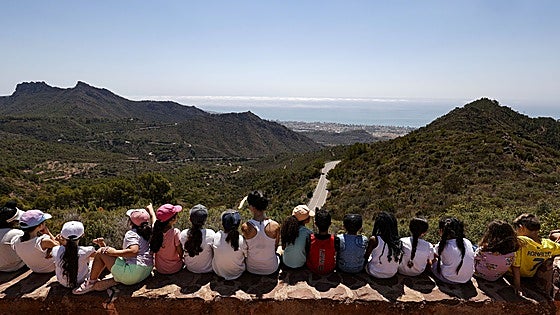 El Desert de les Palmes, el parque salpicado por la polémica de los burros