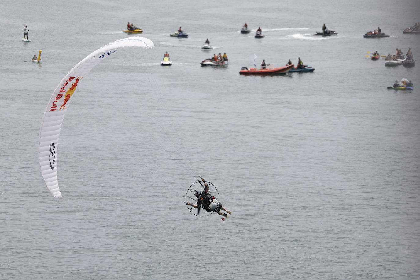 Valencia, capital mundial del Día de las Alas