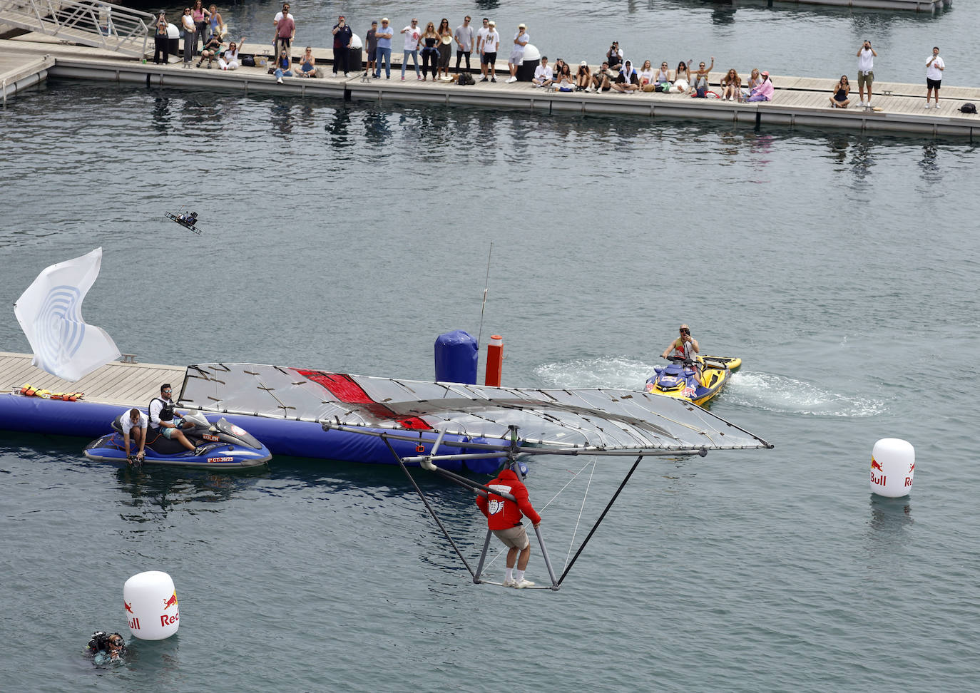 Valencia, capital mundial del Día de las Alas