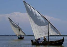 Embarcaciones de vela latina en la Albufera.