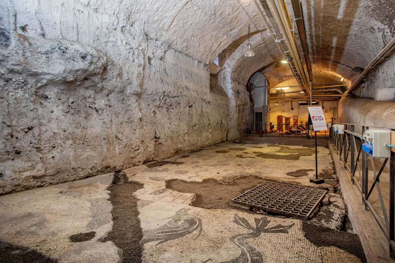 El Palacio Farnese descubre sus mosaicos subterráneos de la Antigua Roma