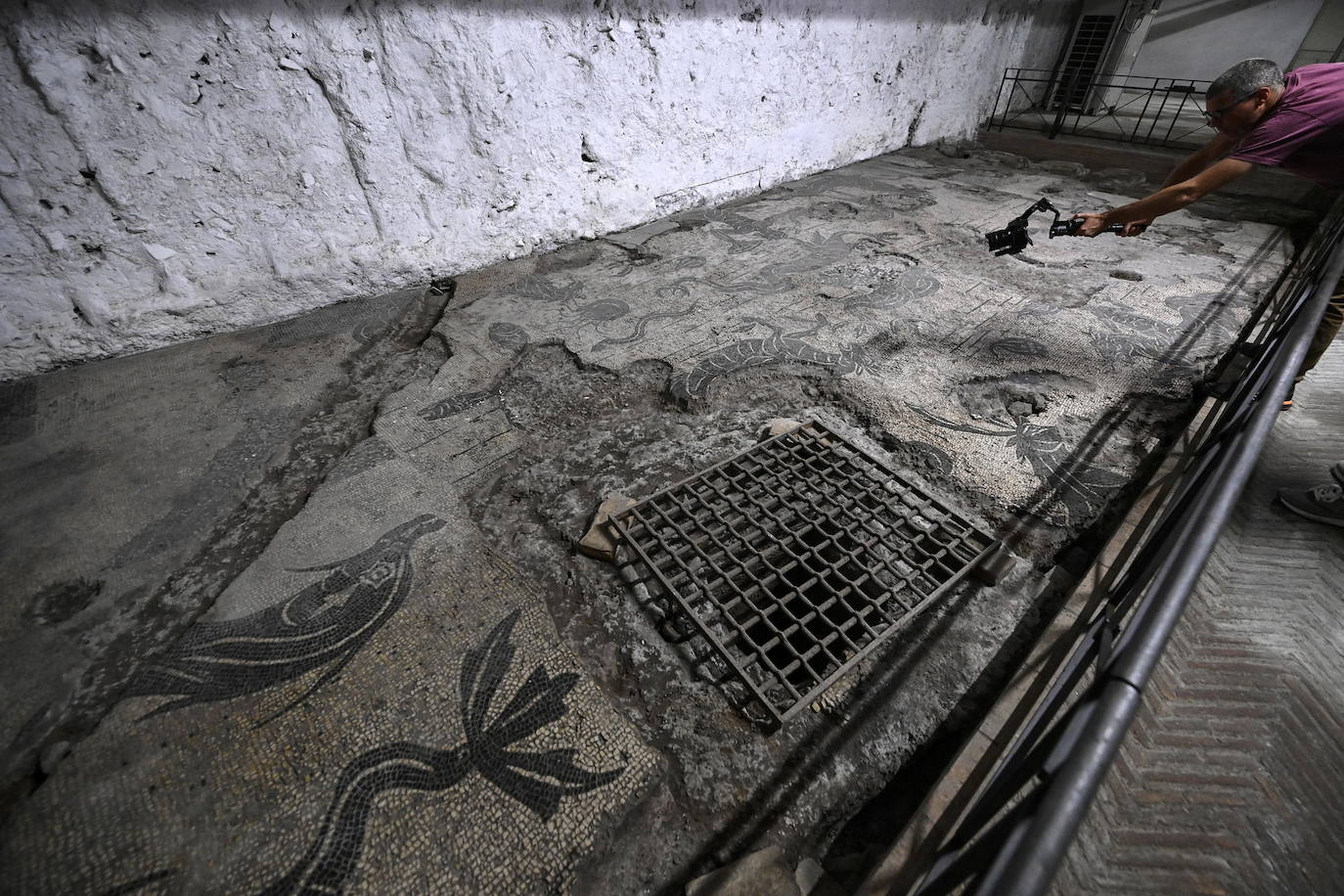 El Palacio Farnese descubre sus mosaicos subterráneos de la Antigua Roma