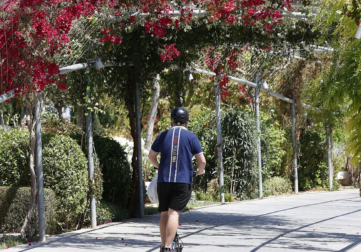 La Policía Local de Valencia multa a medio millar de ciclistas y usuarios de patinetes en parques y jardines