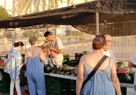 El mercadillo de Urbanova abrirá cada jueves durante los meses de verano.