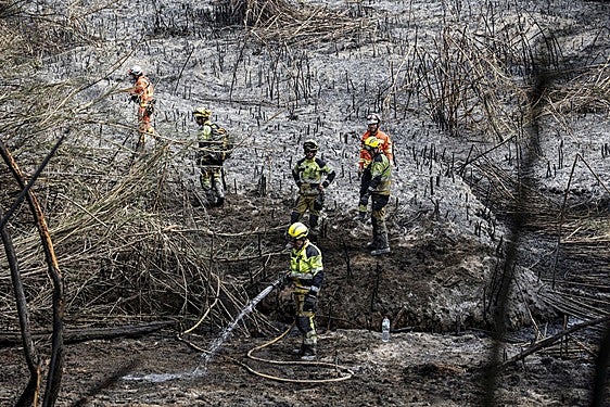 Expertos buscarán soluciones de gestión frente a los incendios forestales en un encuentro en Llocnou de Sant Jeroni