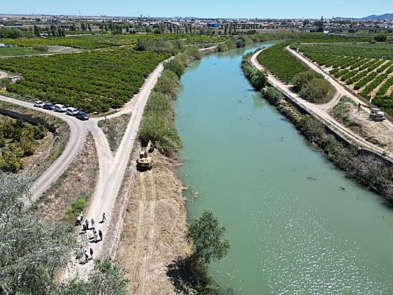 Eliminación de cañas en la Ribera Baixa del Júcar.