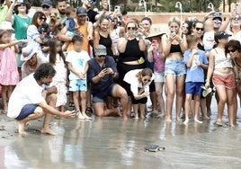 La suelta de tortugas realizada en Denia.