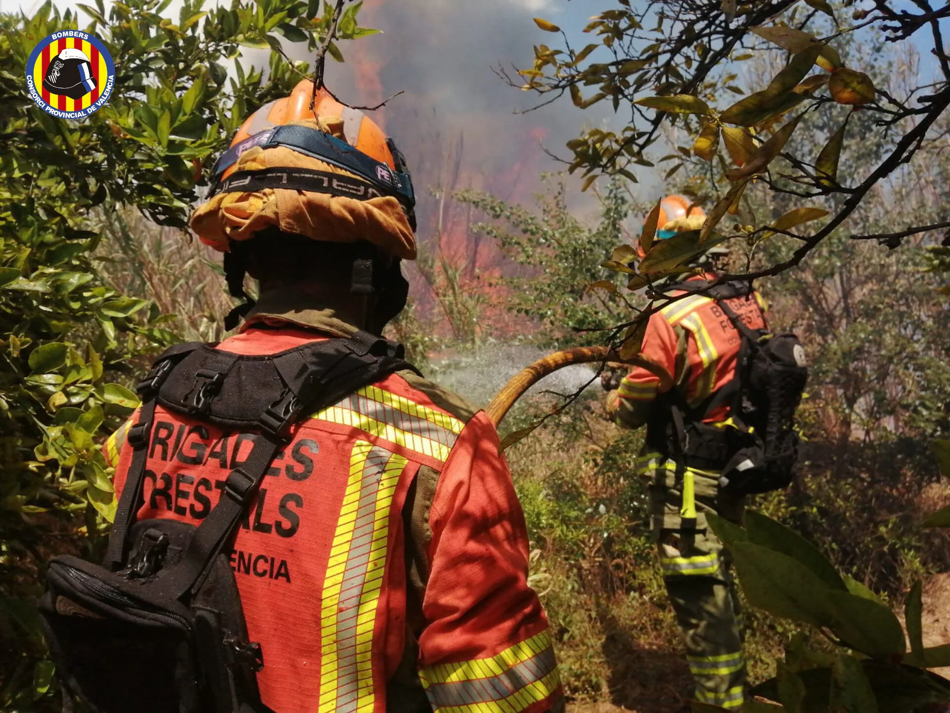 Un rayo provoca un incendio en el parque natural de las Hoces del Cabriel