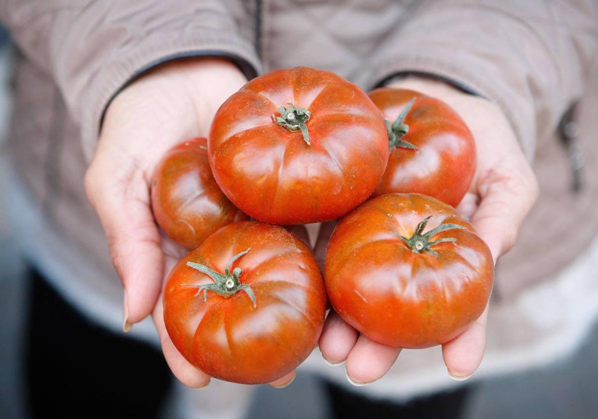 Tomates.