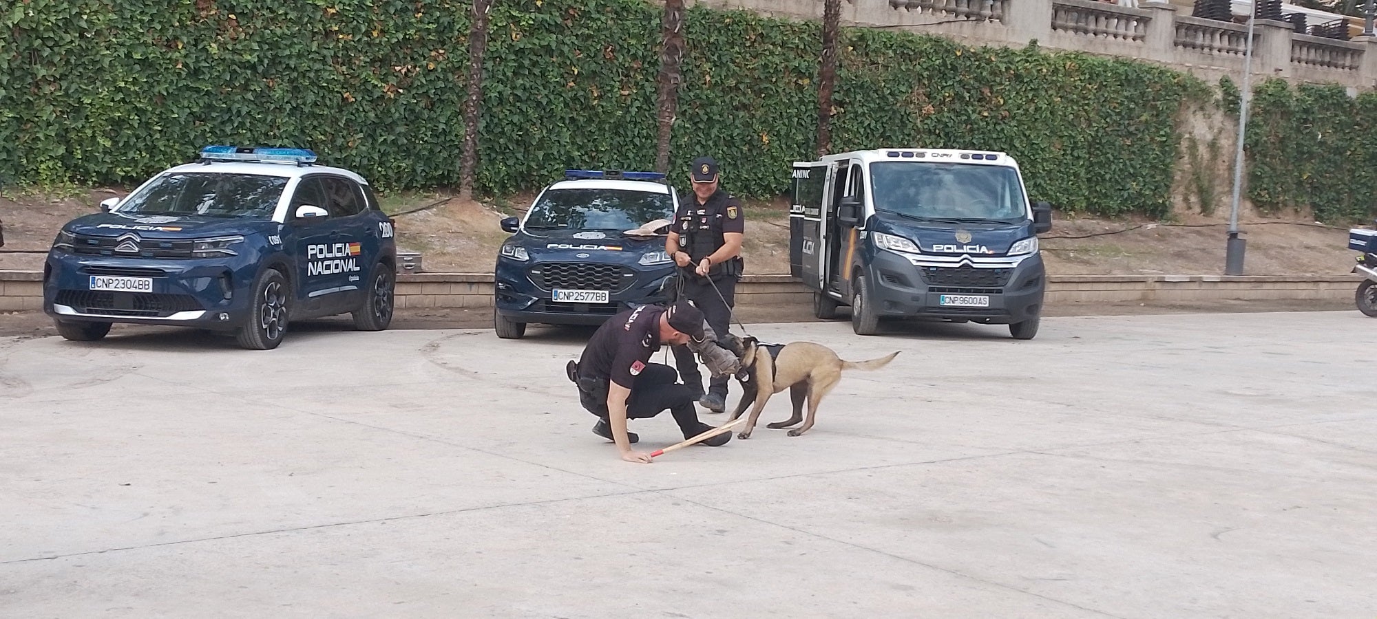 Imagen principal - Arriba, uno de los canes en actitud defensiva; Abajo, a la izquierda, el animal detectando drogas en las maletas; a la derecha, un agente Tedax desactivando un explosivo.