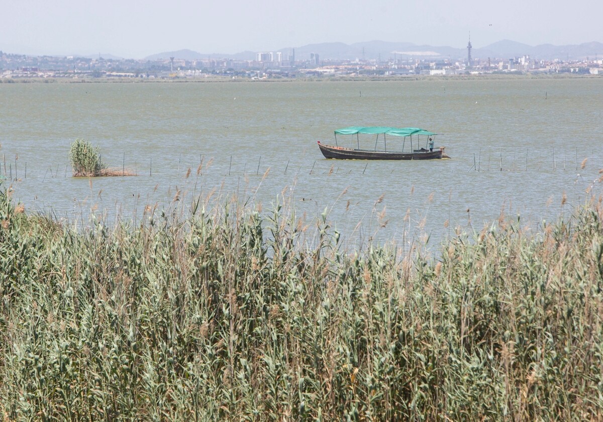 La campaña en favor de la Albufera suma más apoyos: ya son cerca de setenta