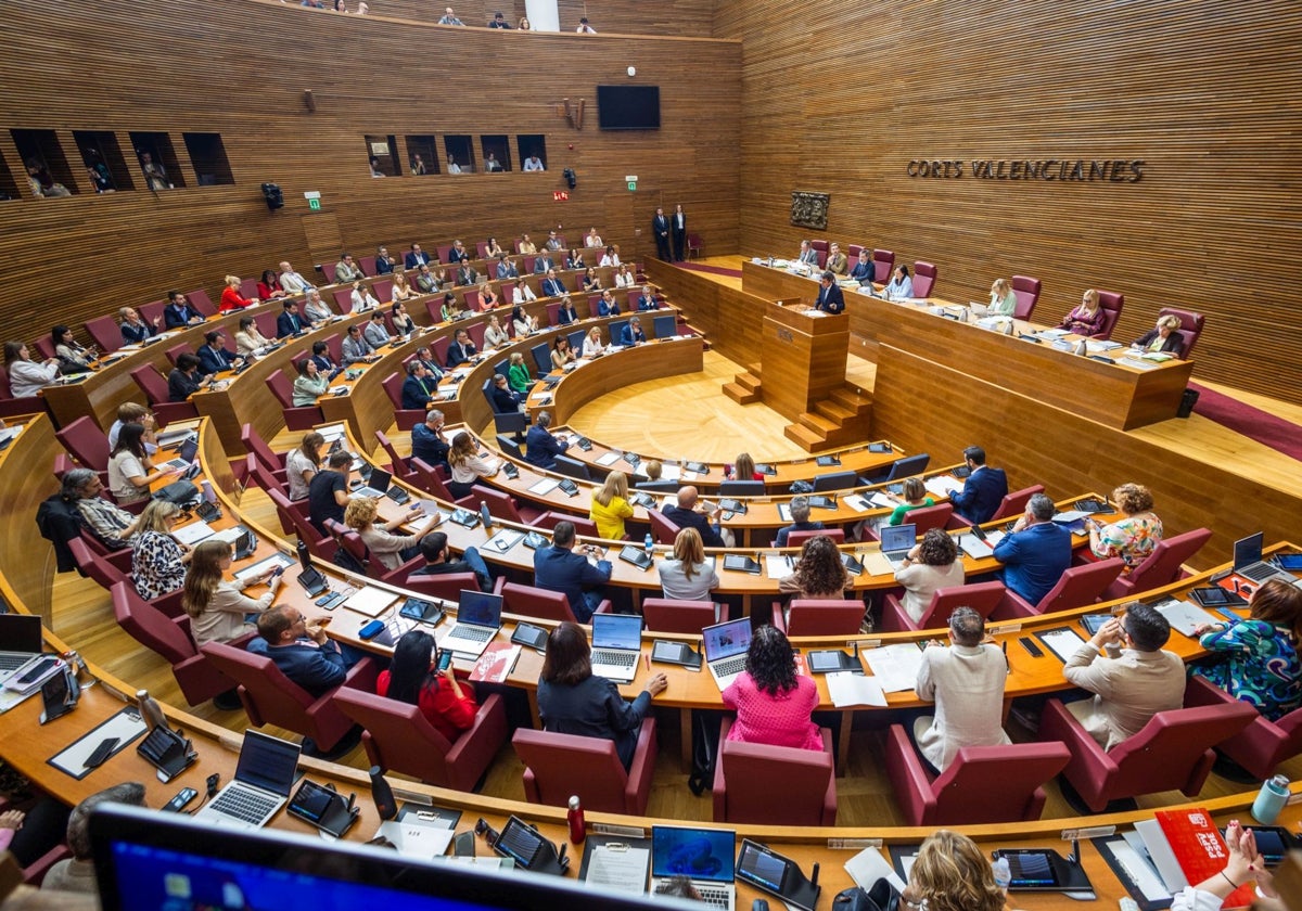 Pleno de sesión de control a Mazón.