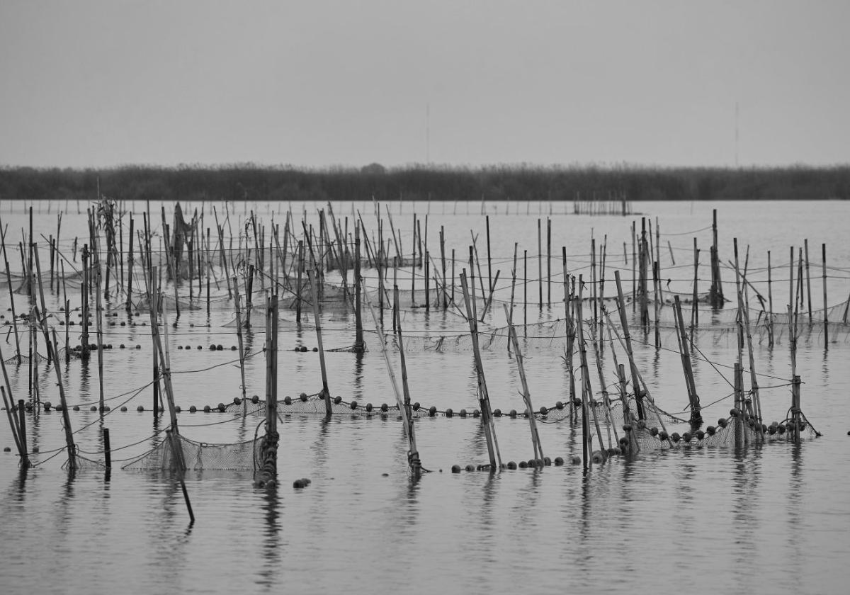 ¿Tiene futuro la Albufera?