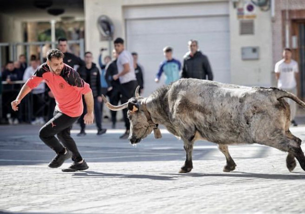 Los bous al carrer, todo un arte y un espectáculo.