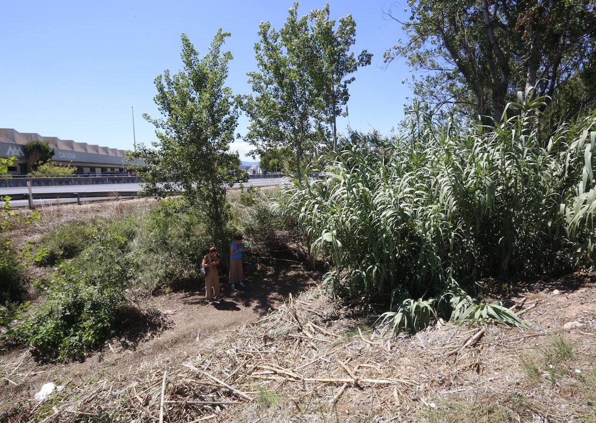 Imagen secundaria 1 - Hallan en Gandia el cadáver de Ester, otra posible víctima del asesino en serie &#039;Dinamita Montilla&#039;