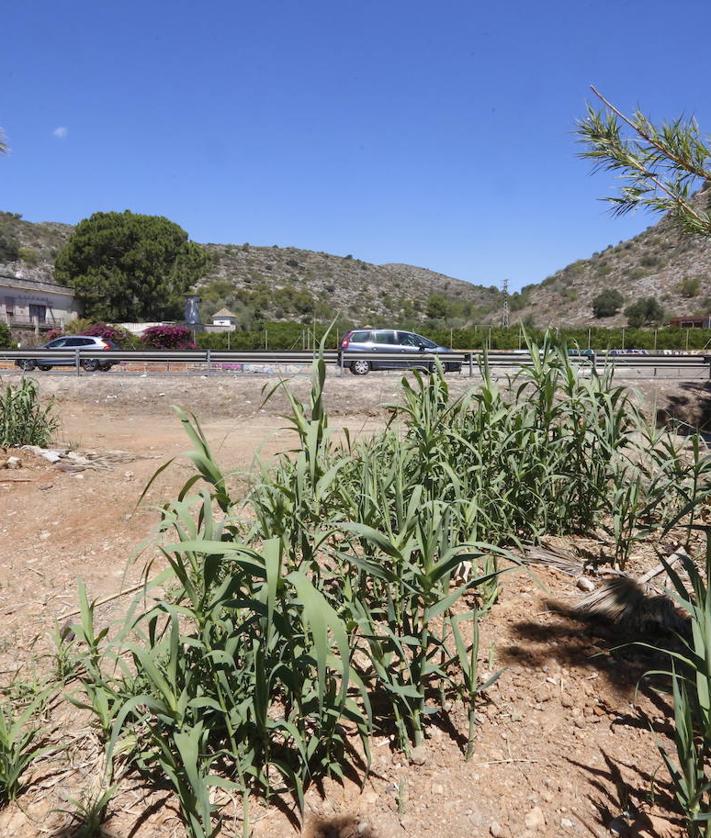 Imagen secundaria 2 - Hallan en Gandia el cadáver de Ester, otra posible víctima del asesino en serie &#039;Dinamita Montilla&#039;