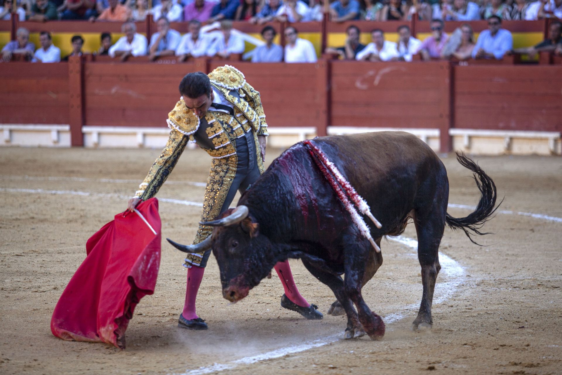 Imagen secundaria 1 - Ponce, en la corrida de este domingo en Alicante.