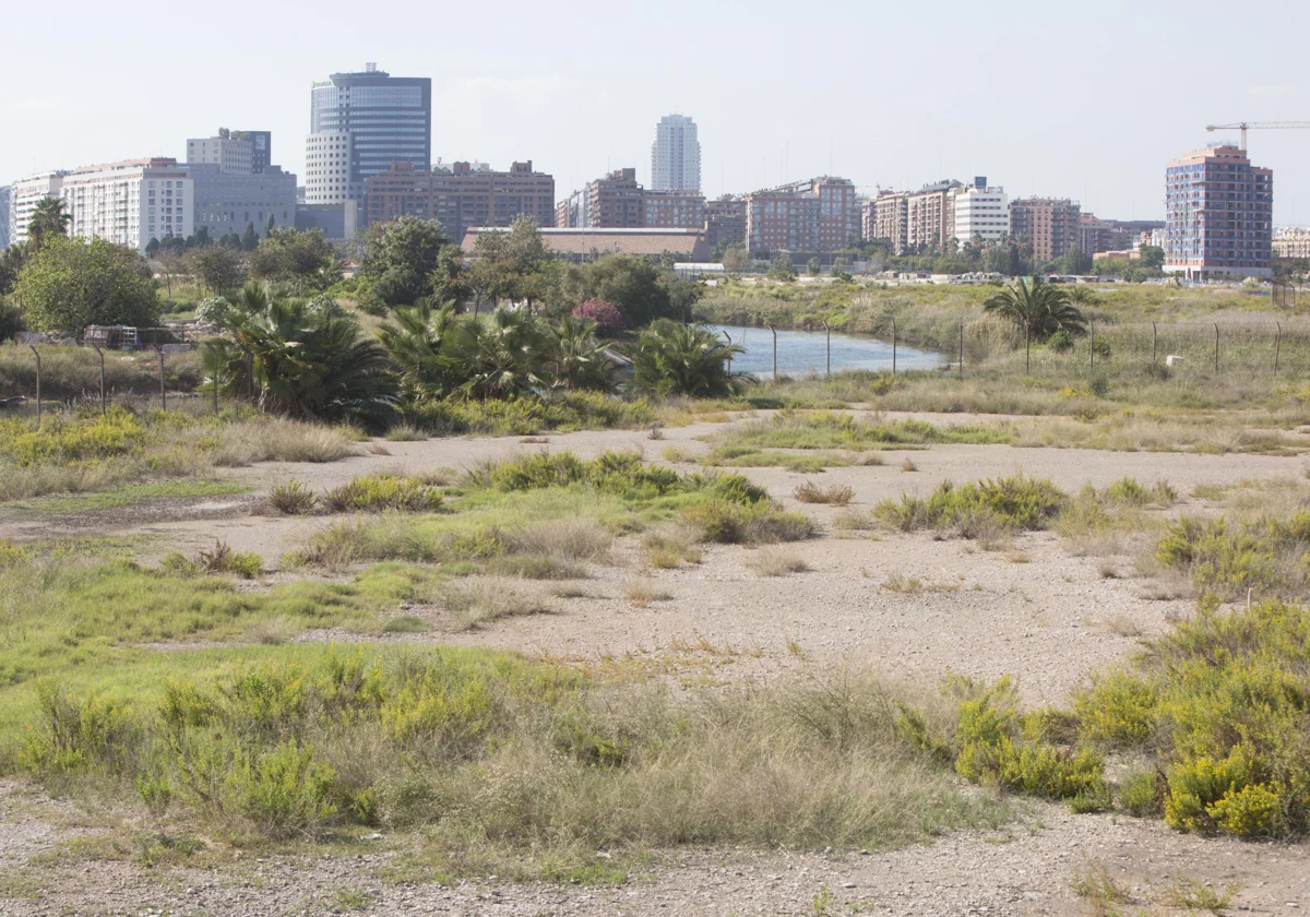 El Ayuntamiento de Valencia construirá un camino ciclo-peatonal que unirá Nazaret, Moreras y El Grau