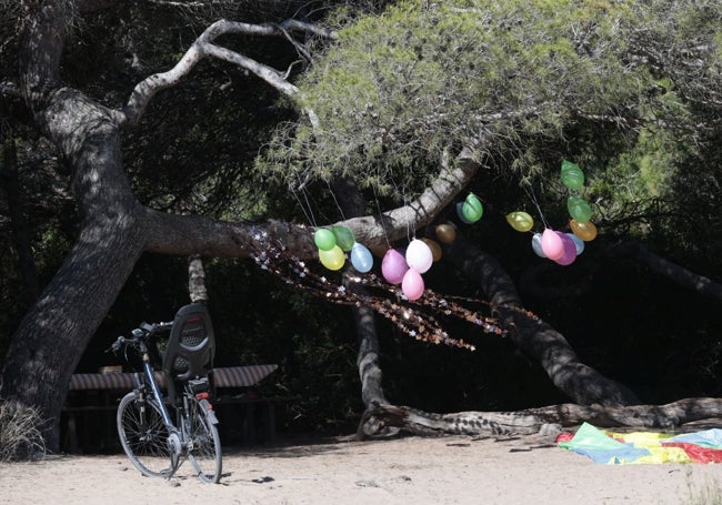 Preparación de un cumpleaños, con globos, en la Devesa, práctica que está prohibida.