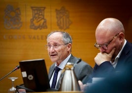 Joan Llinares, durante su última comparecencia en Les Corts.