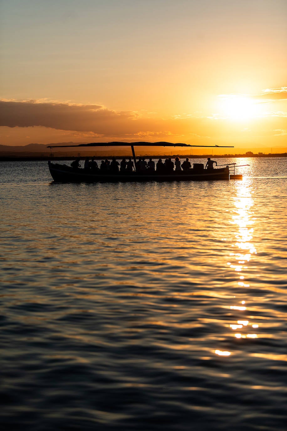 Primera de las excursiones gratis a la Albufera de Valencia