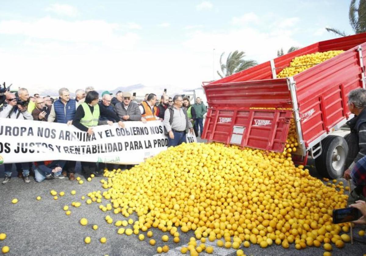 La crisis del limón obliga a reconvertir miles de hectáreas