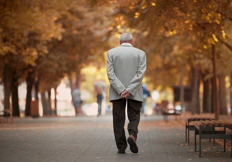 Un hombre pasea por un parque.