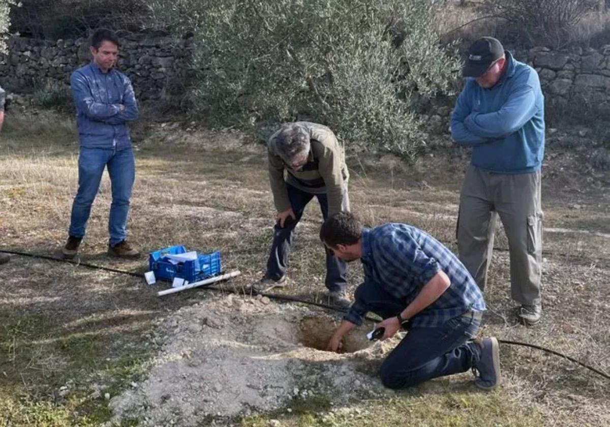 El sistema mantiene la producción y la calidad del aceite.