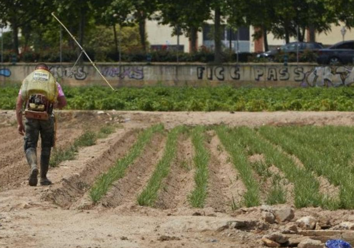 El SEPE comunica cuál es el sueldo mínimo que se puede pagar a los trabajadoras eventuales y a los temporeros