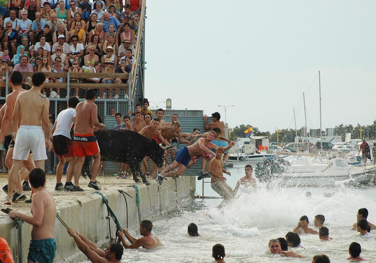 Bous a la mar en Denia.