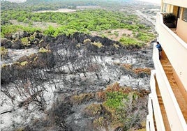 Una zona afectada por uno de los siniestros en el área protegida.