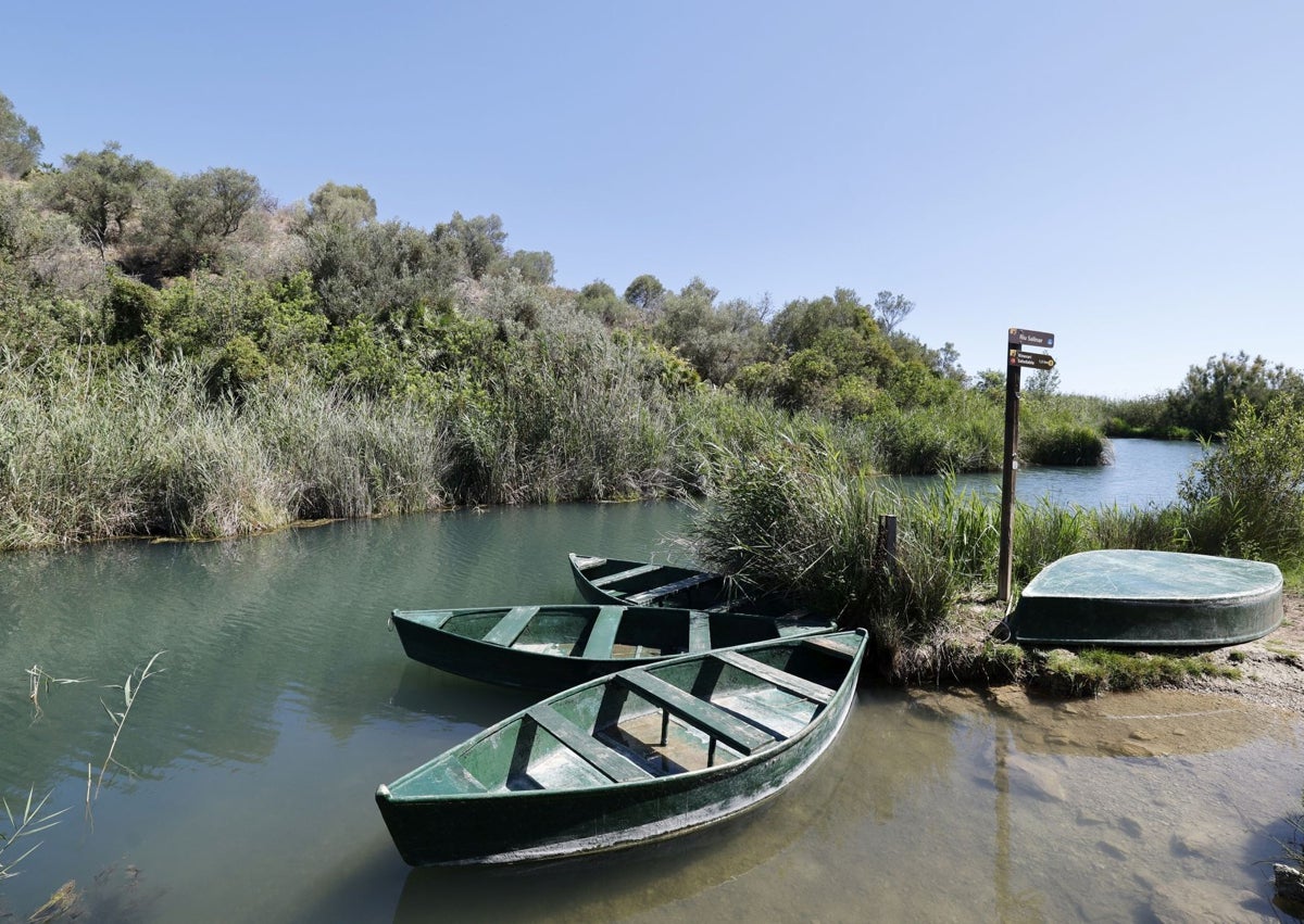 Imagen secundaria 1 - El manantial de la Font Salada, barcas de las rutas por el río Salinar y una cuadrilla trabajando en los campos de arroz.