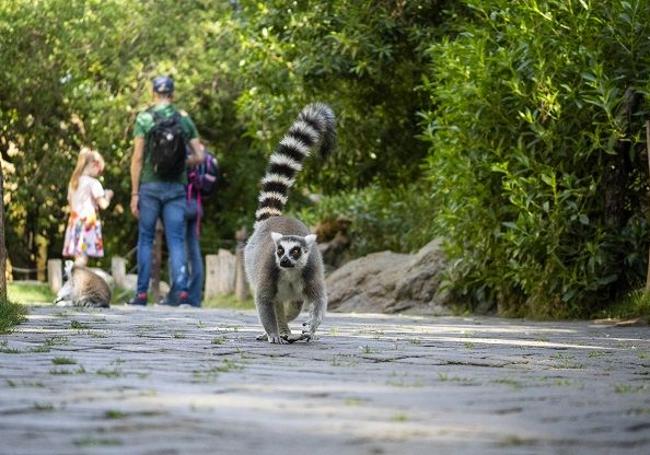 Bioparc Valencia