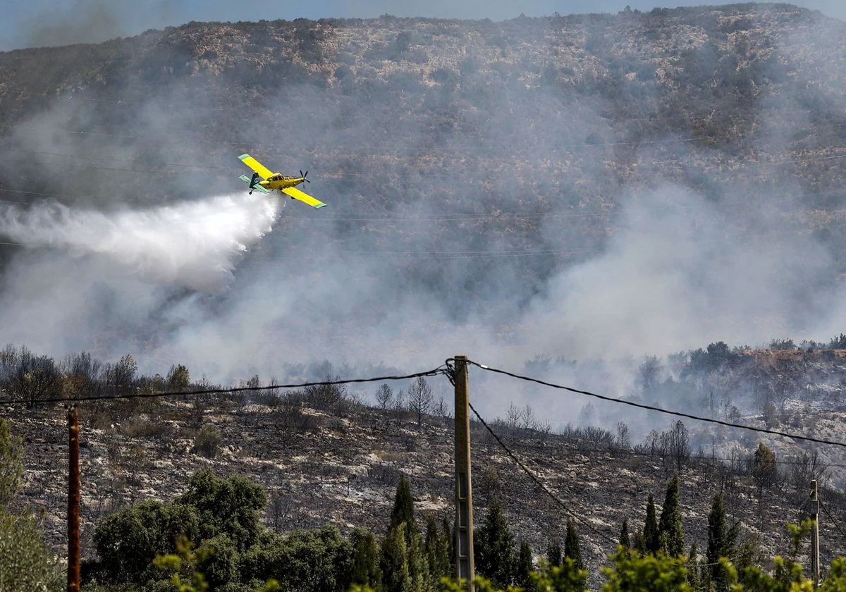 Cada año en España, un total de 100.000 hectáreas de bosques son destruidas por los incendios.