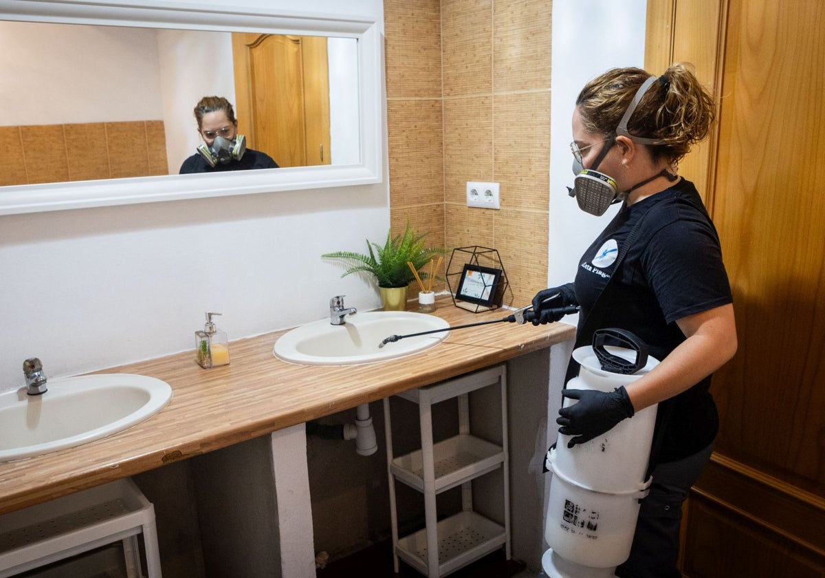 La misionera y desinsectadora Azahara Hilario actúa con su instrumental en el lavabo de una vivienda de Valencia.