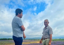 El empresario Blas Aparicio y Ángel Andrés, alcalde de Ademuz, en uno de los campos de lavanda.