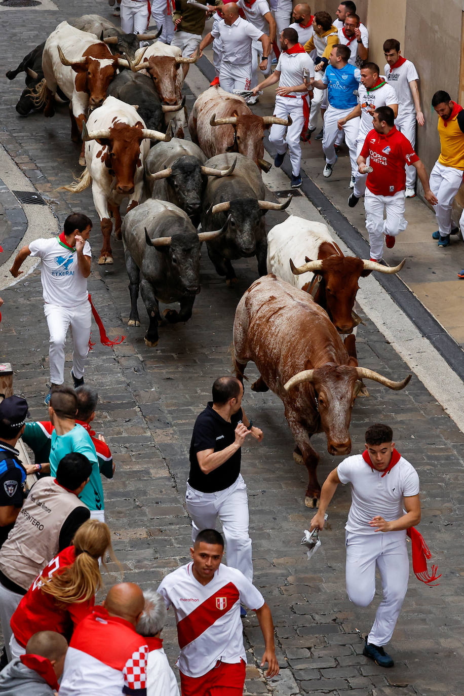 Las mejores imágenes del séptimo encierro de San Fermín 2024