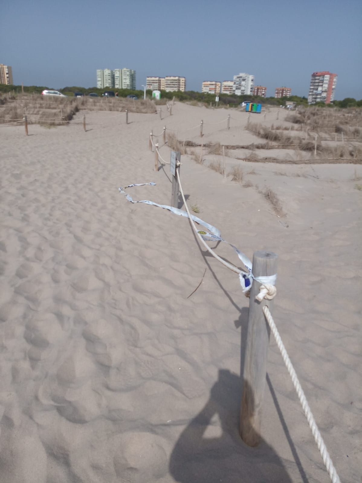 La reapertura de las playas de Valencia afectadas por el vertido de fuel, en imágenes