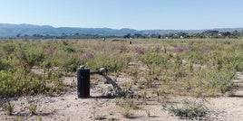 Zona en el que se ubicaría el parque fotovoltaico.