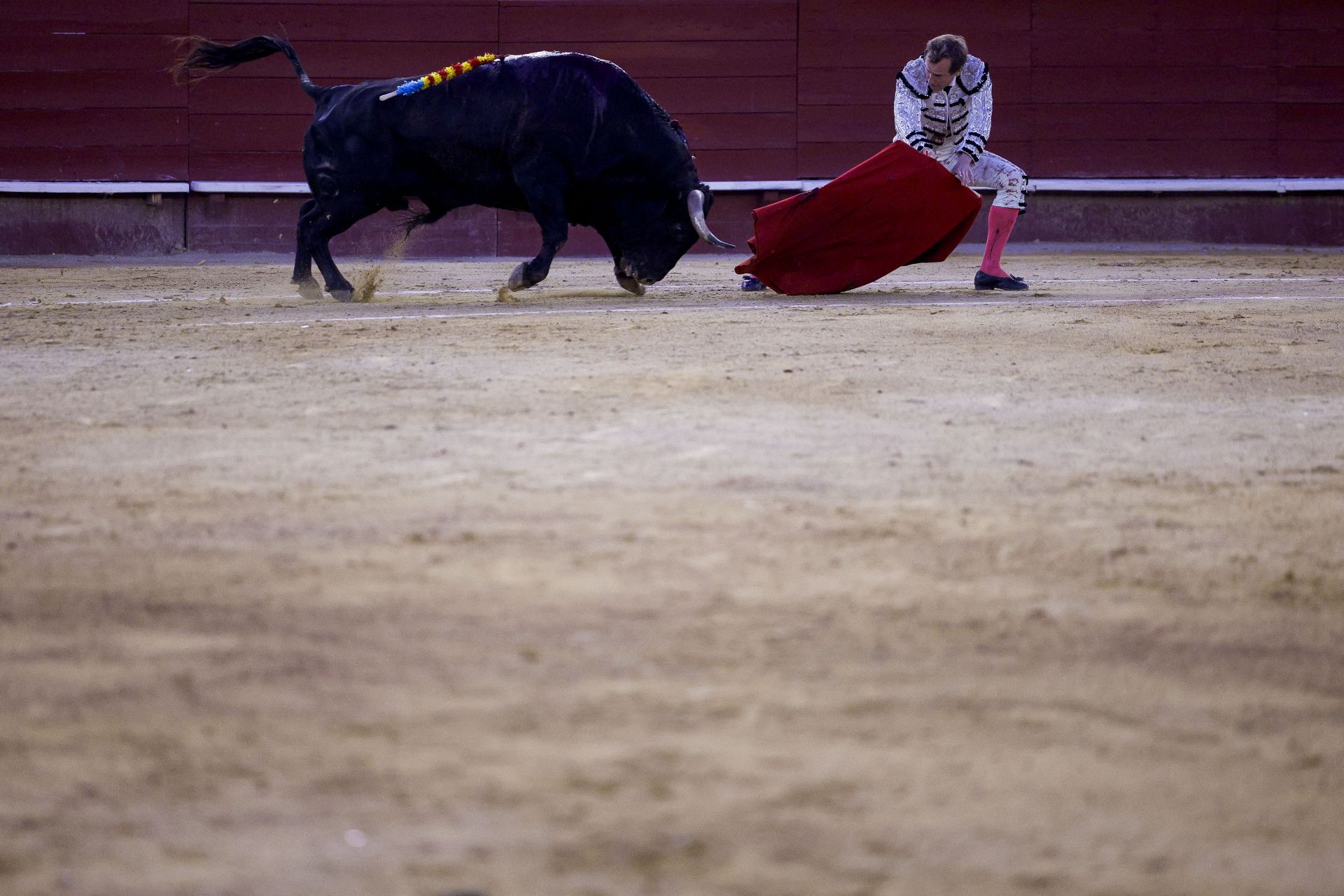 Román, durante su faena a Escondido