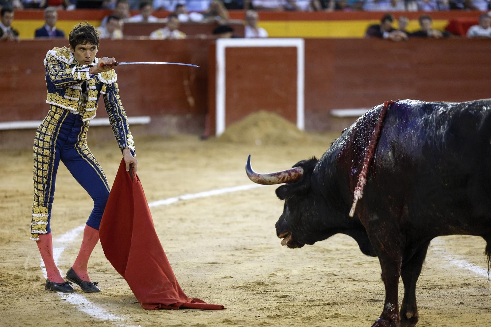 Así fue el derrumbe del sexto toro en Valencia