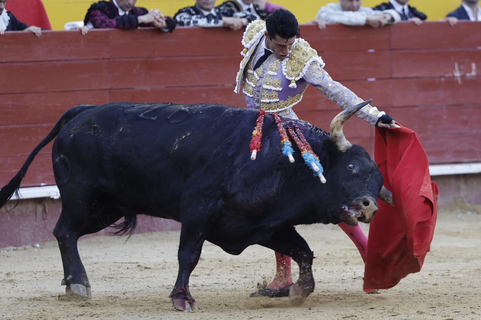 Así fue el derrumbe del sexto toro en Valencia