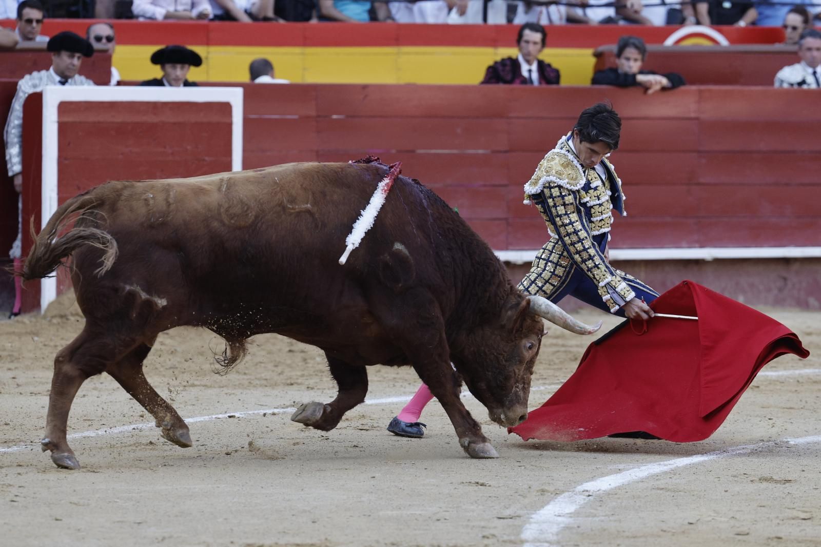 Así fue el derrumbe del sexto toro en Valencia