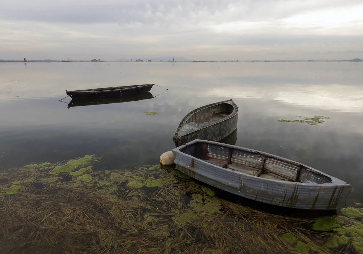 La Albufera, un espacio tan valioso como frágil 