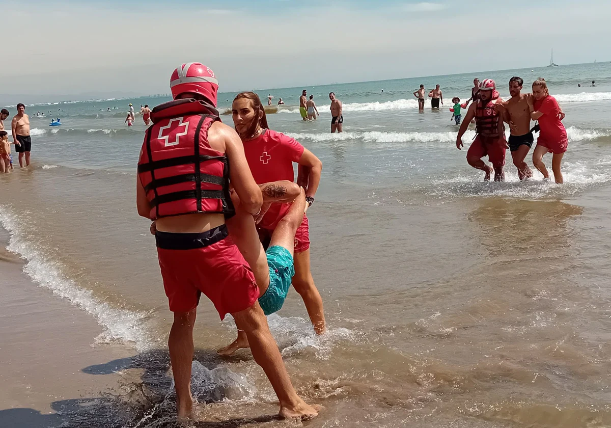 Las medusas dan una tregua y sus picaduras caen a la mitad respecto al verano pasado en Valencia 