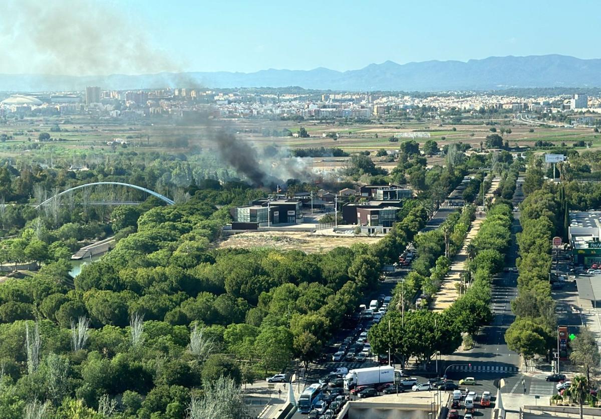 Declarado un incendio que afecta a la zona de cañas de Campanar 